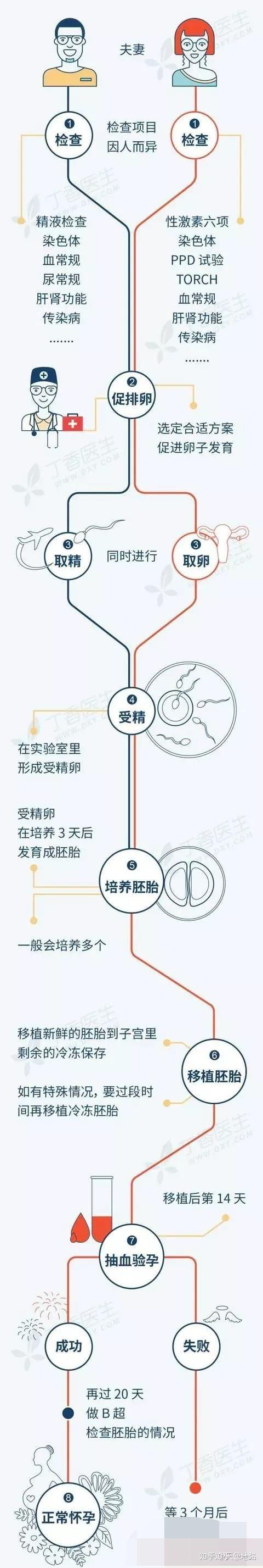 属鸡适合生什么借卵代孕宝宝